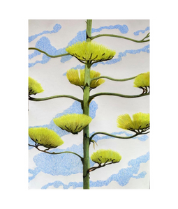 10_hp_d34