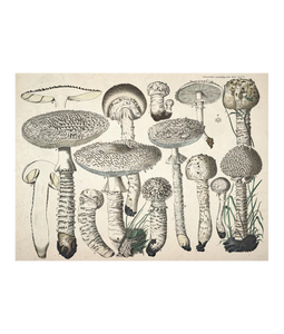 19_hp_dr34-41