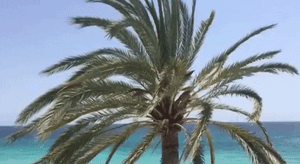 mood_drop5